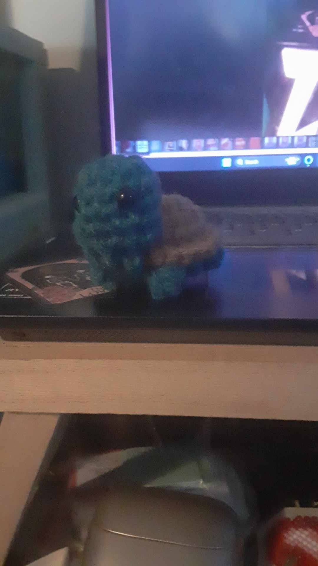 tiny turtle