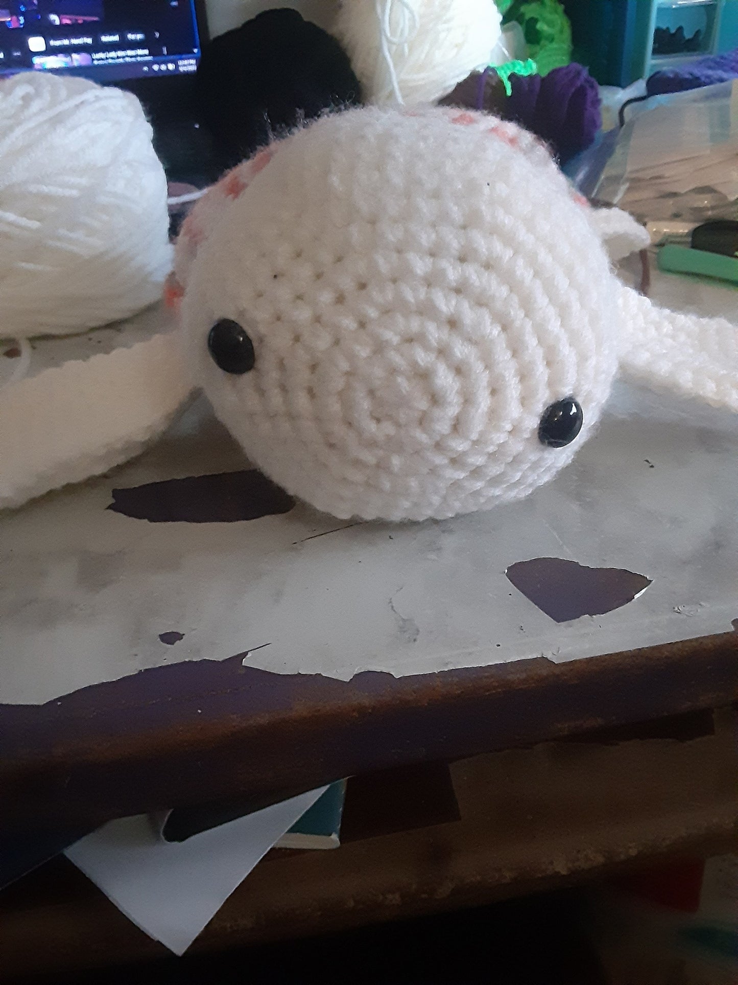 weighted turtle