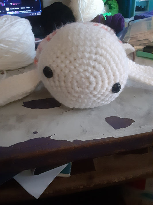 weighted turtle